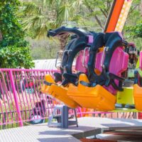 Amusement Park Accident Lawyer